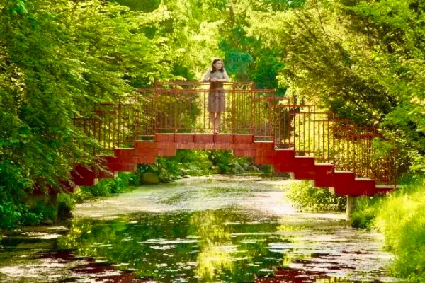 Dow Gardens